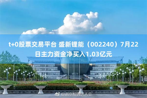 t+0股票交易平台 盛新锂能（002240）7月22日主力资金净买入1.03亿元
