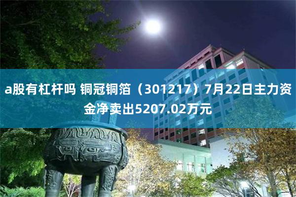 a股有杠杆吗 铜冠铜箔（301217）7月22日主力资金净卖出5207.02万元