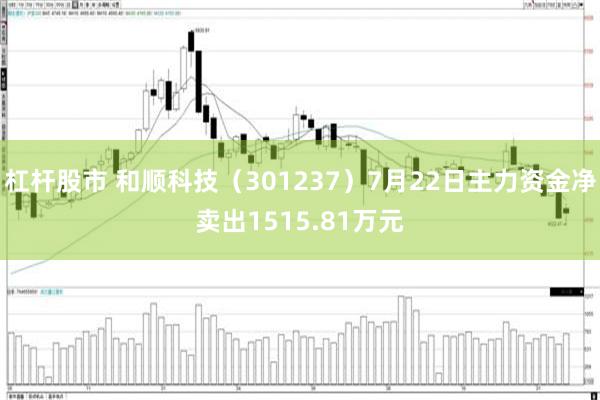 杠杆股市 和顺科技（301237）7月22日主力资金净卖出1515.81万元