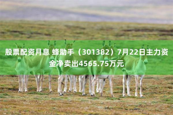 股票配资月息 蜂助手（301382）7月22日主力资金净卖出4565.75万元