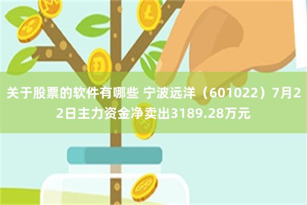 关于股票的软件有哪些 宁波远洋（601022）7月22日主力资金净卖出3189.28万元