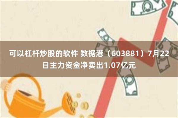 可以杠杆炒股的软件 数据港（603881）7月22日主力资金净卖出1.07亿元