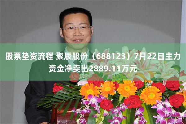 股票垫资流程 聚辰股份（688123）7月22日主力资金净卖出2889.11万元