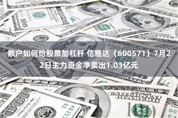 散户如何给股票加杠杆 信雅达（600571）7月22日主力资金净卖出1.03亿元