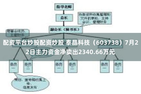 配资平台炒股配资炒股 泰晶科技（603738）7月22日主力资金净卖出2340.66万元