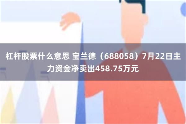 杠杆股票什么意思 宝兰德（688058）7月22日主力资金净卖出458.75万元
