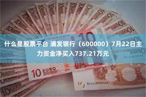 什么是股票平台 浦发银行（600000）7月22日主力资金净买入737.21万元