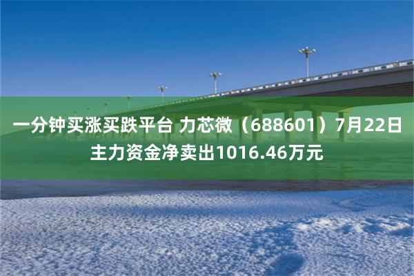 一分钟买涨买跌平台 力芯微（688601）7月22日主力资金净卖出1016.46万元