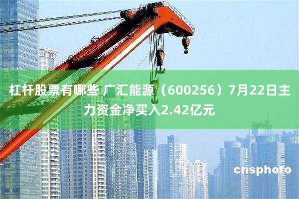 杠杆股票有哪些 广汇能源（600256）7月22日主力资金净买入2.42亿元