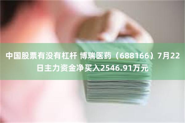 中国股票有没有杠杆 博瑞医药（688166）7月22日主力资金净买入2546.91万元