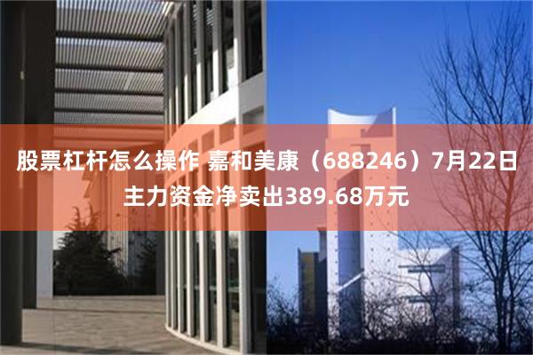股票杠杆怎么操作 嘉和美康（688246）7月22日主力资金净卖出389.68万元