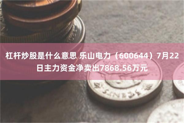 杠杆炒股是什么意思 乐山电力（600644）7月22日主力资金净卖出7868.56万元