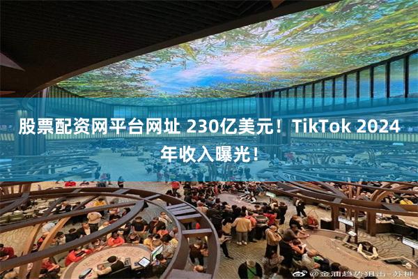 股票配资网平台网址 230亿美元！TikTok 2024年收入曝光！