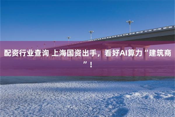 配资行业查询 上海国资出手，看好AI算力“建筑商”！