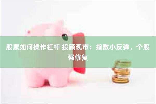 股票如何操作杠杆 投顾观市：指数小反弹，个股强修复