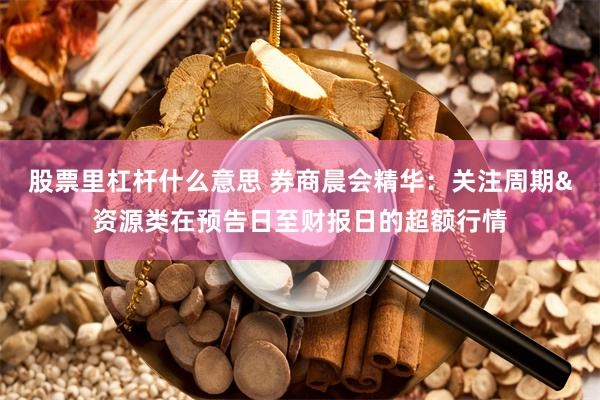 股票里杠杆什么意思 券商晨会精华：关注周期&资源类在预告日至财报日的超额行情