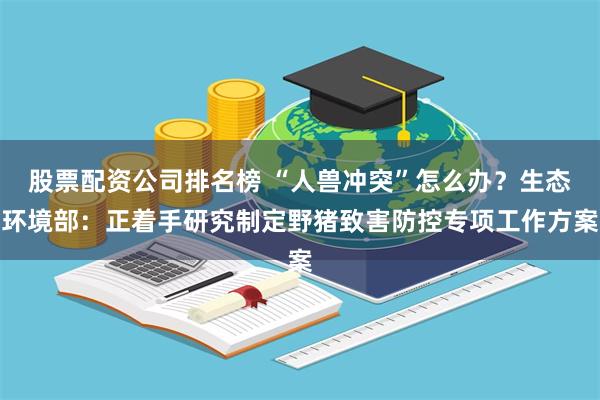 股票配资公司排名榜 “人兽冲突”怎么办?生态环境部:正着手研究制定野猪致害防控专项工作方案