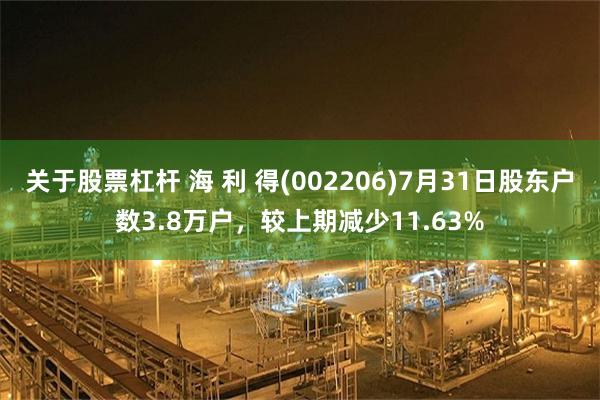 关于股票杠杆 海 利 得(002206)7月31日股东户数3.8万户，较上期减少11.63%