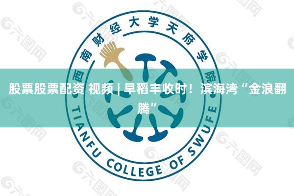 股票股票配资 视频 | 早稻丰收时！滨海湾“金浪翻腾”