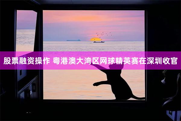 股票融资操作 粤港澳大湾区网球精英赛在深圳收官
