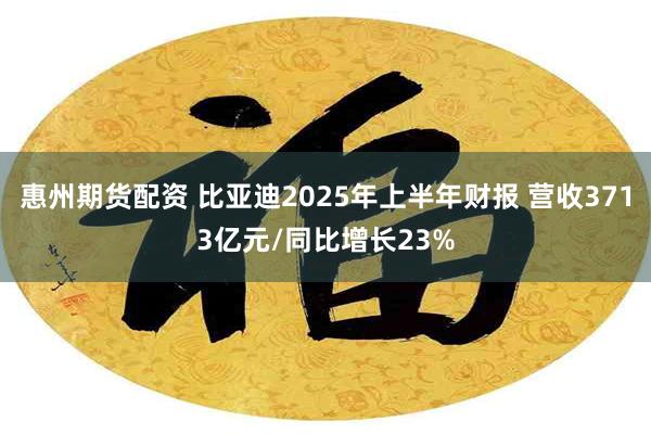 惠州期货配资 比亚迪2025年上半年财报 营收3713亿元/同比增长23%