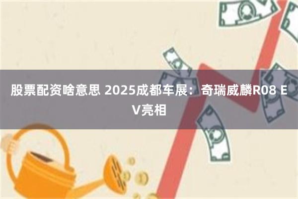 股票配资啥意思 2025成都车展：奇瑞威麟R08 EV亮相