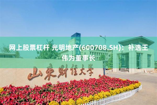 网上股票杠杆 光明地产(600708.SH)：补选王伟为董事长