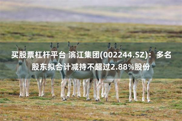 买股票杠杆平台 滨江集团(002244.SZ)：多名股东拟合计减持不超过2.88%股份