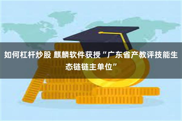 如何杠杆炒股 麒麟软件获授“广东省产教评技能生态链链主单位”