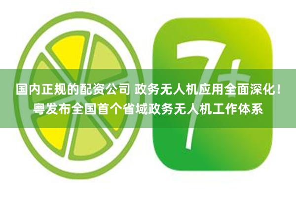 国内正规的配资公司 政务无人机应用全面深化！粤发布全国首个省域政务无人机工作体系