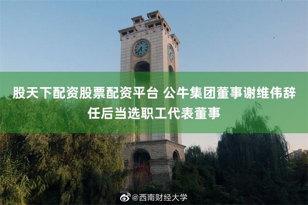 股天下配资股票配资平台 公牛集团董事谢维伟辞任后当选职工代表董事