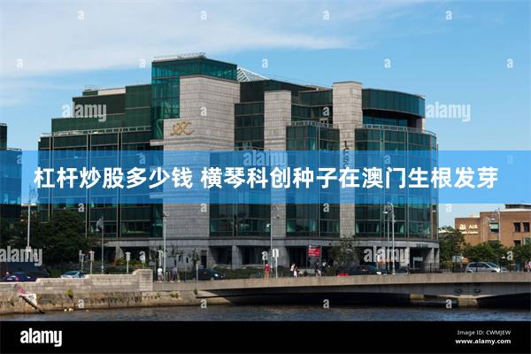 杠杆炒股多少钱 横琴科创种子在澳门生根发芽