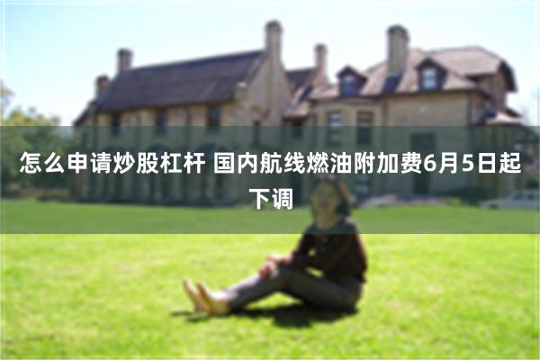 怎么申请炒股杠杆 国内航线燃油附加费6月5日起下调