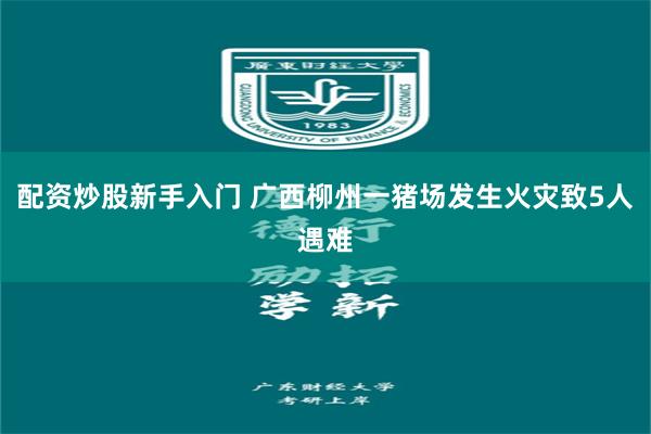 配资炒股新手入门 广西柳州一猪场发生火灾致5人遇难