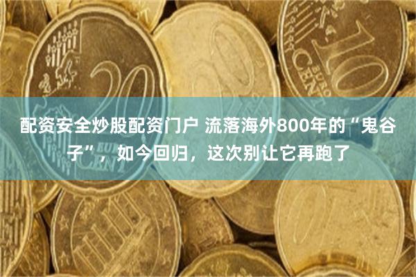 配资安全炒股配资门户 流落海外800年的“鬼谷子”，如今回归，这次别让它再跑了