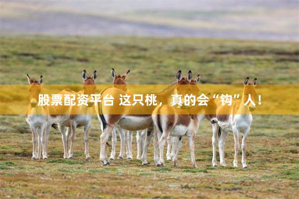股票配资平台 这只桃，真的会“钩”人！