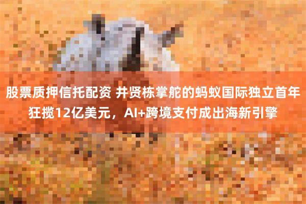 股票质押信托配资 井贤栋掌舵的蚂蚁国际独立首年狂揽12亿美元，AI+跨境支付成出海新引擎