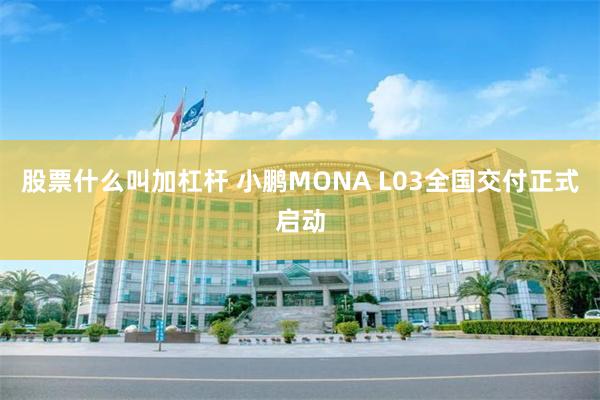 股票什么叫加杠杆 小鹏MONA L03全国交付正式启动