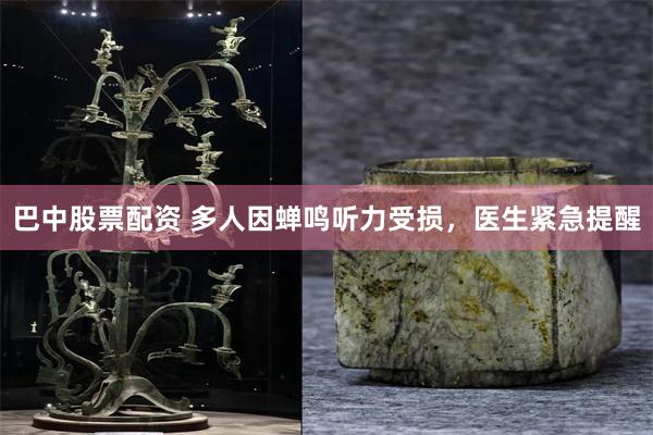 巴中股票配资 多人因蝉鸣听力受损，医生紧急提醒
