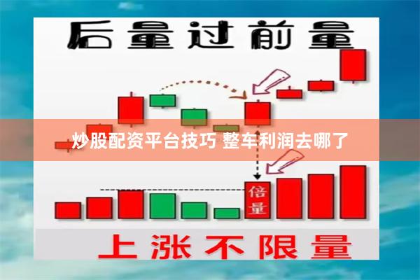 炒股配资平台技巧 整车利润去哪了