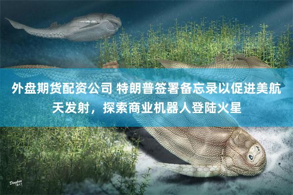 外盘期货配资公司 特朗普签署备忘录以促进美航天发射，探索商业机器人登陆火星
