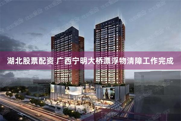 湖北股票配资 广西宁明大桥漂浮物清障工作完成