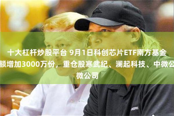 十大杠杆炒股平台 9月1日科创芯片ETF南方基金份额增加3000万份，重仓股寒武纪、澜起科技、中微公司