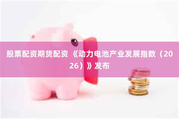 股票配资期货配资 《动力电池产业发展指数（2026）》发布