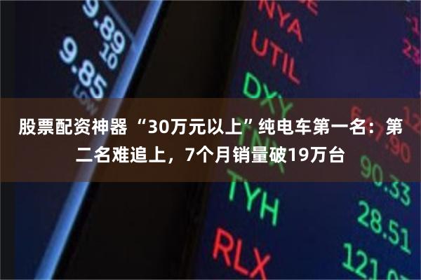 股票配资神器 “30万元以上”纯电车第一名：第二名难追上，7个月销量破19万台