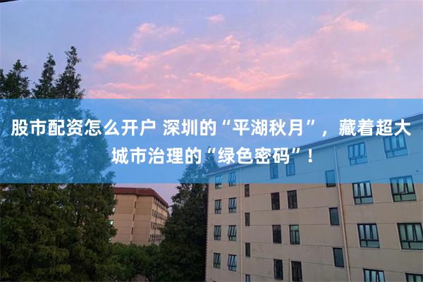 股市配资怎么开户 深圳的“平湖秋月”，藏着超大城市治理的“绿色密码”！
