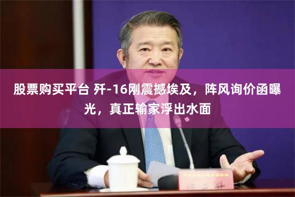 股票购买平台 歼-16刚震撼埃及，阵风询价函曝光，真正输家浮出水面