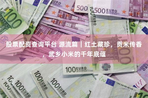 股票配资查询平台 源流篇｜红土藏珍，贡米传香，武乡小米的千年底蕴
