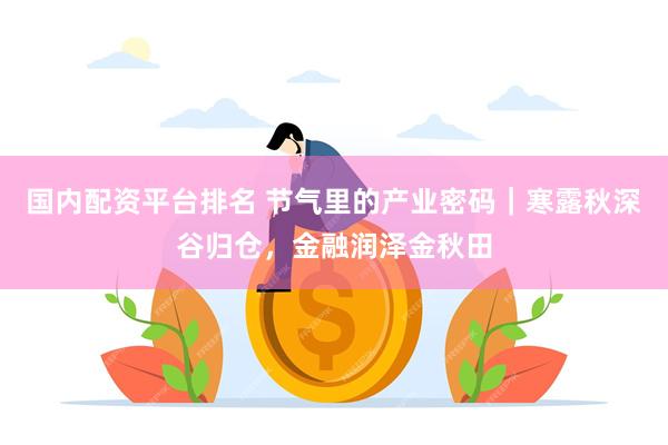 国内配资平台排名 节气里的产业密码｜寒露秋深谷归仓，金融润泽金秋田