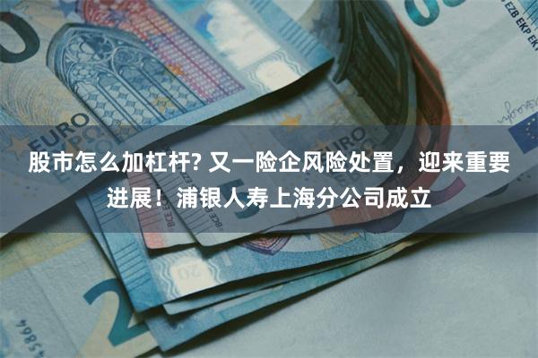 股市怎么加杠杆? 又一险企风险处置,迎来重要进展!浦银人寿上海分公司成立